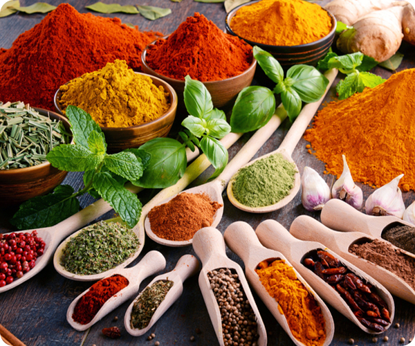Condimentos, Especias y Salsas