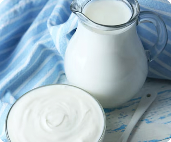 Lácteos para Cocina Profesional